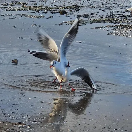 Perfektmari * Swinoujscie